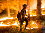 В тушении вашингтонских пожаров задействованы 1250 человек