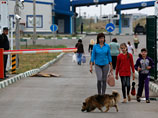 В ФСБ нашли почти 10 млн рублей на возведение забора на границе с Украиной