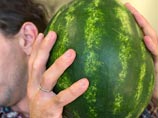 Пьяный капитан полиции со стрельбой завладел арбузом в Казани Пьяный капитан полиции со стрельбой завладел арбузом в Казани