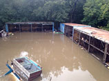 Вода убывает из затопленного наводнением зоопарка "Зеленый остров" в Уссурийске, в связи с чем операцию по эвакуации выживших зверей решено приостановить