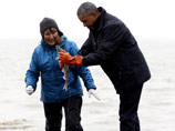 Обама также посетил отдаленную рыбацкую деревню на Аляске. Президент поучаствовал в рыбалке, затем попробовал разделывать пойманного лосося и проверил работу коптильни, в которой его готовили