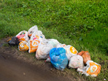День молитвы об окружающей среде православные отметили сбором мусора в московском парке