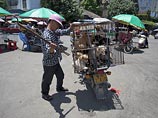 В Китае противостояние торговцев собаками и зоозащитников закончилось кровопролитием В Китае противостояние торговцев собаками и зоозащитников закончилось кровопролитием