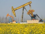 Цена на баррель нефти Brent упала ниже 48 долларов Цена на баррель нефти Brent упала ниже 48 долларов