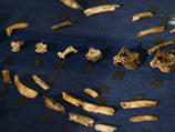 Новый вид получил название Homo naledi - в честь пещеры "Восходящая звезда", где и были обнаружены останки. Слово "наледи" на южноафриканском языке сесото означает "звезда"