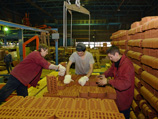 В Тульской области на заводе начали выдавать зарплату кирпичами
