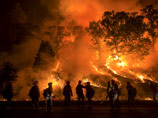 В МЧС России заявили, что спасатели готовы оказать помощь США в тушении лесных пожаров, которые бушуют в Калифорнии