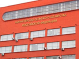 У Минсельхоза готова новая версия доктрины продовольственной безопасности России У Минсельхоза готова новая версия доктрины продовольственной безопасности России