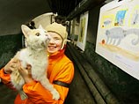 "Эрмитажный кот" станет официально зарегистрированным товарным знаком "Эрмитажный кот" станет официально зарегистрированным товарным знаком