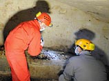 Точно определить принадлежность костей ученые не смогли, поскольку современные технологии не позволяют сравнить ДНК этих костных фрагментов с образцами, взятыми из останков детей Моны Лизы Точно определить принадлежность костей ученые не смогли, поскольку современные технологии не позволяют сравнить ДНК этих костных фрагментов с образцами, взятыми из останков детей Моны Лизы
