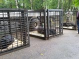 В Уссурийске началось строительство нового зоопарка: лев получит вольер с обогревом,  медведи - берлоги