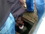 Жители Красноярска спасли щенка, провалившегося в канализационный люк (ВИДЕО)
