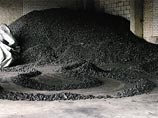 Литовские полицейские перебрали 367 тонн каменного угля и обнаружили 600 кг кокаина