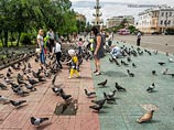 Две семьи сирийских беженцев обосновались в Забайкалье Две семьи сирийских беженцев обосновались в Забайкалье