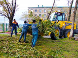На Сахалине снят режим ЧС, спасатели убрали половину поваленных деревьев