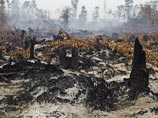 Власти Индонезии обратились к другим государствам за помощью в борьбе с лесными пожарами, которые служат причиной густого смога, окутавшего значительную часть территории страны