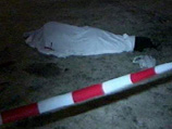 В Красноярске пьяные 14-летняя девочка и подросток убили бомжа, сбросив его с моста
