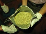 В столичное отделение полиции по почте пришла посылка с пятью килограммами "спайса" В столичное отделение полиции по почте пришла посылка с пятью килограммами "спайса"