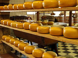 Ученые установили, что люди могут испытывать  зависимость от сыра