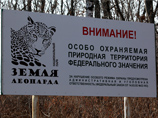 Научные сотрудники парка провели идентификацию самца дальневосточного леопарда, погибшего под колесами автомобиля 24 октября, и установили, что это зверь под номером Leo 11M по кличке Меамур