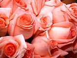 В ХМАО влюбленным, раздавшим прохожим 300 похищенных роз, грозит пятилетний срок колонии