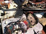 Путина и Чайку просят возобновить расследование гибели Ту-154, сбитого ракетой в 2001 году Путина и Чайку просят возобновить расследование гибели Ту-154, сбитого ракетой в 2001 году