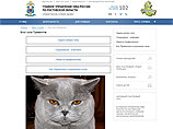 Главное управление МВД России по Ростовской области создало блог, который доверило вести коту по кличке Превентив