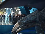 Научно-образовательный комплекс "Приморский океанариум" на острове Русский должен стать одним из крупнейших подобных объектов в мире. Его площадь превысит 30 тысяч квадратных метров