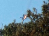 Самолет Су-24 упал в сирийской провинции Латакия накануне - он был сбит турецкими ВВС