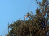 Су-24М был сбит на границе Турции и Сирии ракетой, выпущенной турецким истребителем F-16. Оба пилота катапультировались. Одного расстреляли в воздухе, он погиб