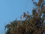 Анкара отправила в Россию самолет с телом российского пилота Олега Пешкова - командира сбитого 24 ноября на границе Турции и Сирии бомбардировщика Су-24