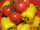 Продукция была заражена средиземноморской плодовой мухой и западным (калифорнийским) цветочным трипсом. Вредители были обнаружены в партиях томатов, перца, мандаринах, гранатах, апельсинах, баклажанах и кабачках Продукция была заражена средиземноморской плодовой мухой и западным (калифорнийским) цветочным трипсом. Вредители были обнаружены в партиях томатов, перца, мандаринах, гранатах, апельсинах, баклажанах и кабачках