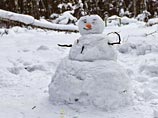 Омичи готовят протест снеговиков против нерадивых чиновников