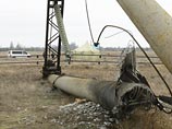 По словам сотрудников зоопарка, животное погибло от переохлаждения, вызванного проблемами с подачей электроэнергии в Крым По словам сотрудников зоопарка, животное погибло от переохлаждения, вызванного проблемами с подачей электроэнергии в Крым