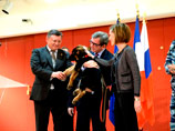 Щенка Добрыню, которого российские полицейские решили подарить французским коллегам после гибели в контртеррористической операции в Париже пса Дизеля, передали французским дипломатам