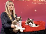 Знаменитого "Сердитого кота" увековечили в музее мадам Тюссо Знаменитого "Сердитого кота" увековечили в музее мадам Тюссо
