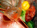 Россия запретила транзит рыбной продукции через Литву