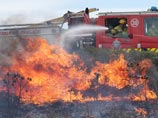В Австралии более 100 домов уничтожены "Рождественскими" лесными пожарами В Австралии более 100 домов уничтожены "Рождественскими" лесными пожарами
