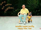 В Таиланде скончалась любимая собака короля, незадолго до смерти подвергшаяся онлайн-"оскорблению" В Таиланде скончалась любимая собака короля, незадолго до смерти подвергшаяся онлайн-"оскорблению"