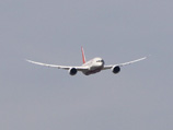 Самолет Air India, летевший в Лондон, вернулся в Мумбаи из-за крысы в салоне