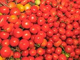 Россия с 1 января запретила ввоз турецких фруктов, мяса и соли Россия с 1 января запретила ввоз турецких фруктов, мяса и соли
