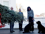 В Вашингтоне арестован человек, которого подозревают в попытке похитить одну из собак президента Барака Обамы