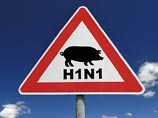 В Армении за последниий месяц 10 человек скончались от свиного гриппа (H1N1). С начала 2016 года смертельный вирус был диагностирован у семи жителей страны, еще трое умерли в конце прошлого года
