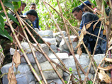 В Никарагуа найден брошенный самолет с 90 килограммами кокаина на борту