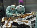 Генетики выяснили, кем была мать знаменитого "ледяного человека", чья мумия более 5000 сохранялась в Альпах Генетики выяснили, кем была мать знаменитого "ледяного человека", чья мумия более 5000 сохранялась в Альпах