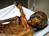 Полученные результаты показали, что Отци и его родственники по материнской линии были коренными жителями Тирольских Альп, которые жили в небольшой и замкнутой популяции Полученные результаты показали, что Отци и его родственники по материнской линии были коренными жителями Тирольских Альп, которые жили в небольшой и замкнутой популяции
