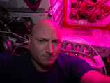 Находящийся на МКС американский астронавт Скотт Келли опубликовал в своем Twitter первые фото цветущей циннии, которую удалось вырастить в космосе
