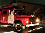 При пожаре в зоогалерее Иркутска погибли десятки питомцев и сбежал неадекватный кот Тобик При пожаре в зоогалерее Иркутска погибли десятки питомцев и сбежал неадекватный кот Тобик
