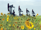 Дворкович: Россия может сократить добычу нефти