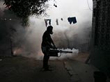 Случаи заражения вирусом Зика впервые зафиксированы в США Случаи заражения вирусом Зика впервые зафиксированы в США
